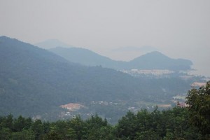 dsc_0197a