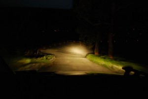 dsc_0312a