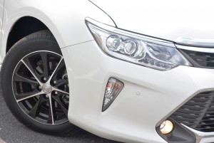 hybrid 12